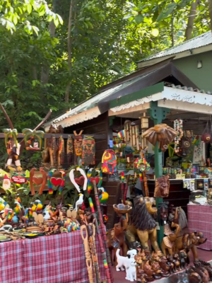 untitled design (11)