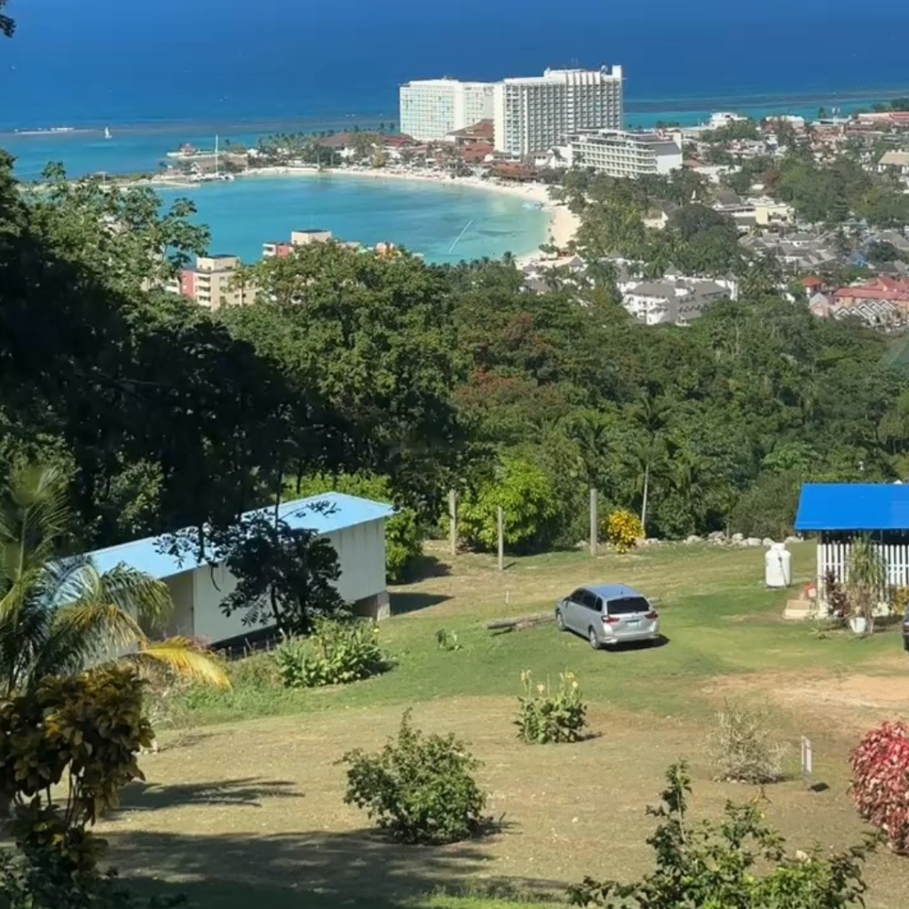 untitled design (10)