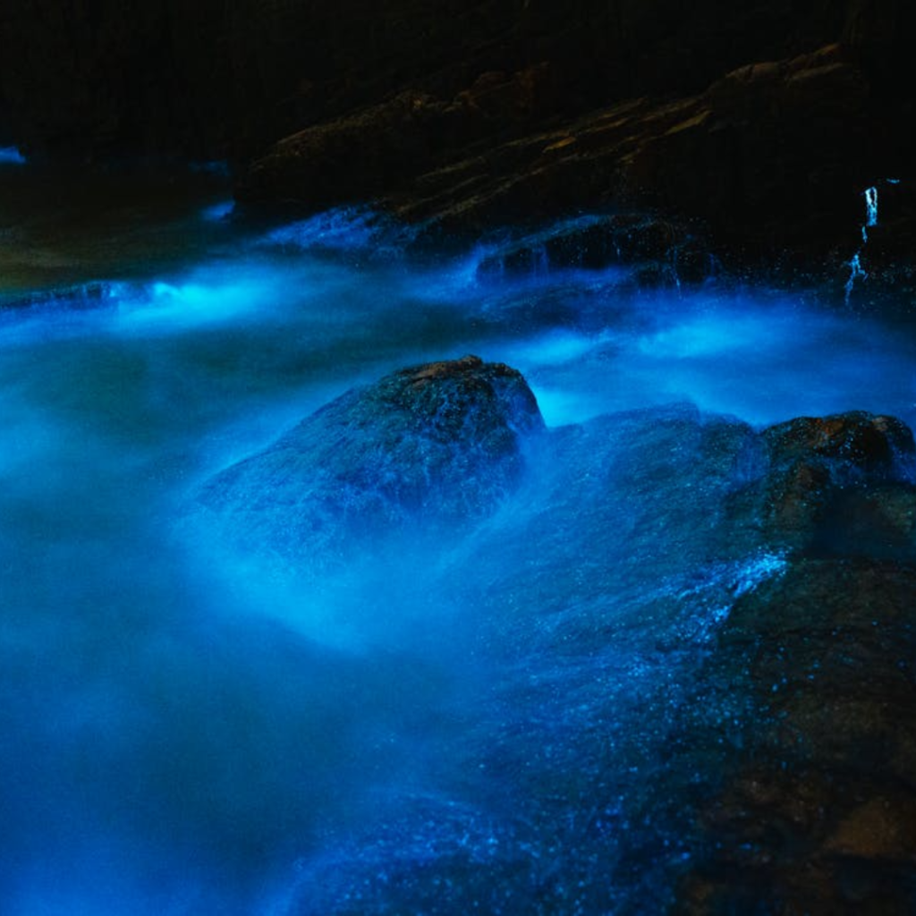 Montego Bay blue and yellow with organic photocentric style travel and tour package promotion instagram post (1)