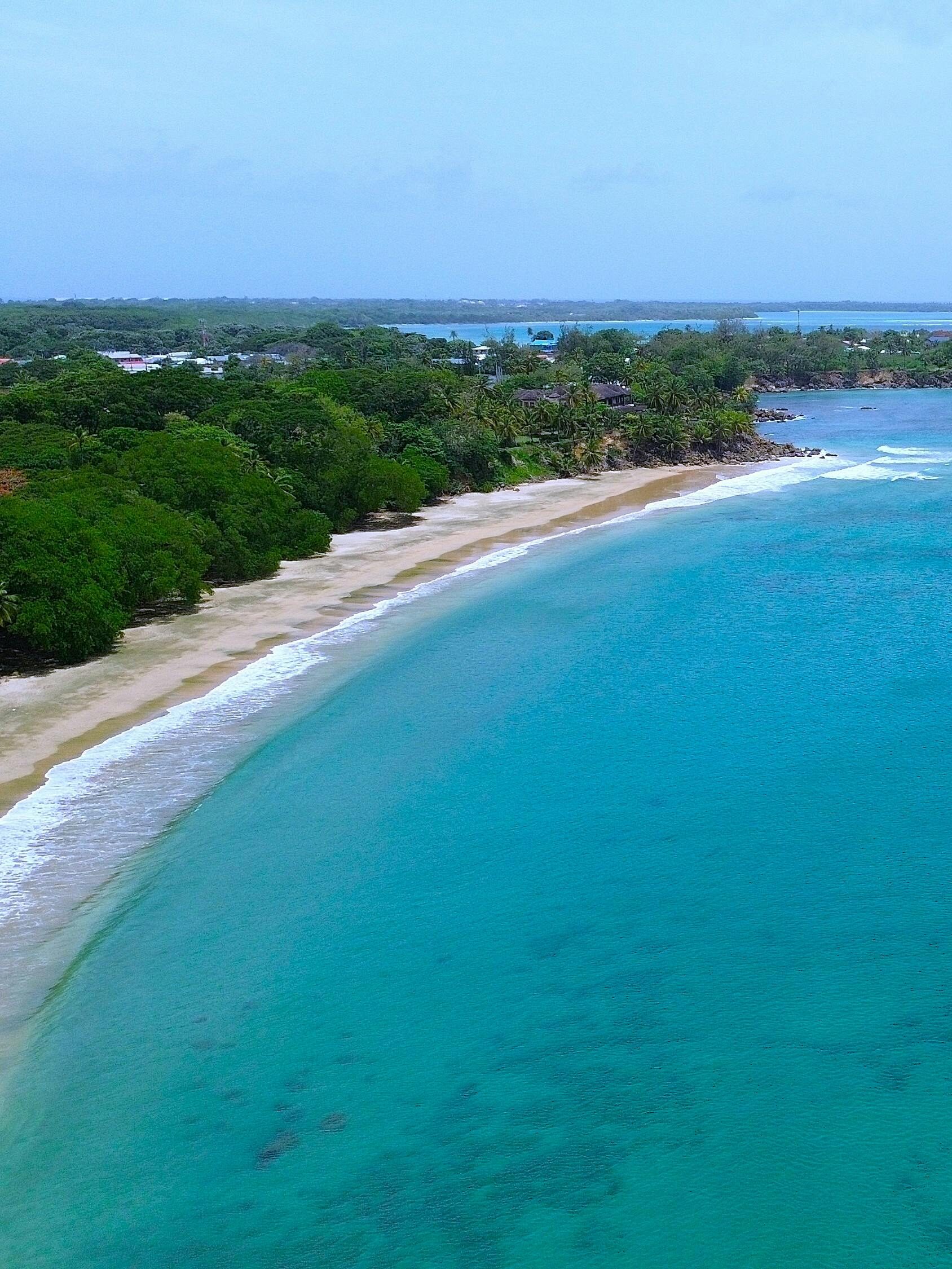 pexels rudi singh 356118012 32560226