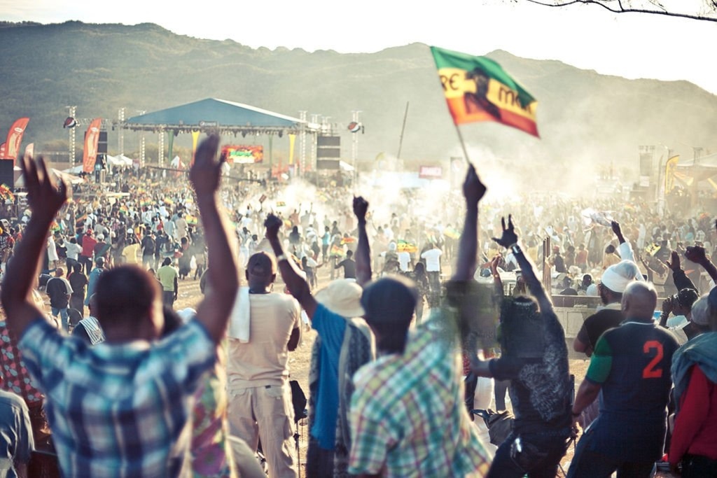 wmremove transformed (2)