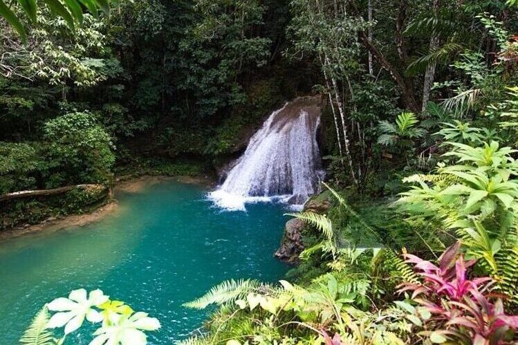 wmremove transformed (3)