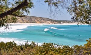 terrianneallen surf 4558215